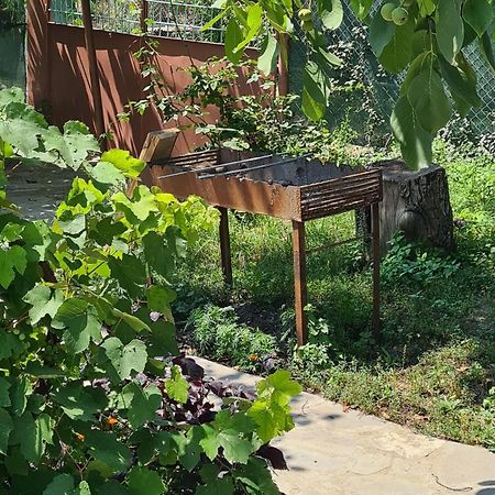 "Budur" Guest House Gandzakar Bagian luar foto